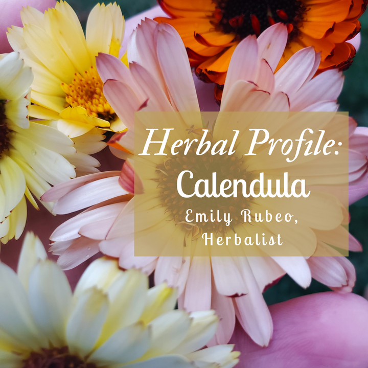 Herbal Monograph: Calendula
