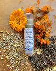 Herbal Salve: First Aid Ointment