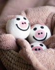 Wool Dryer Balls Pigs