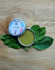 Herbal Salve: Bite and Sting Relief