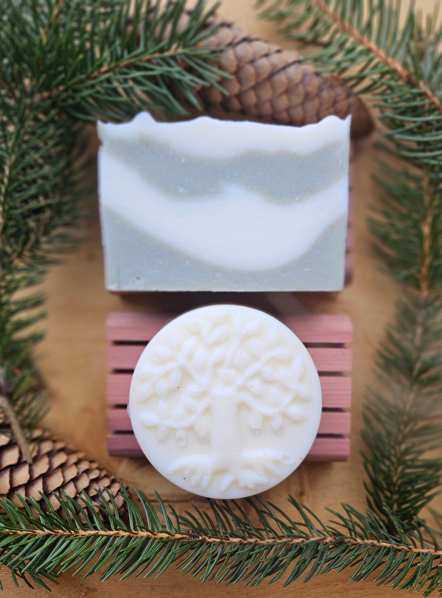 Cold Process Lard Soap: Evergreen