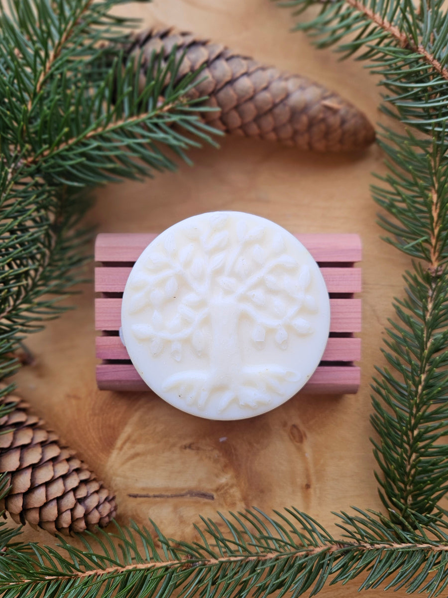 Cold Process Lard Soap: Evergreen