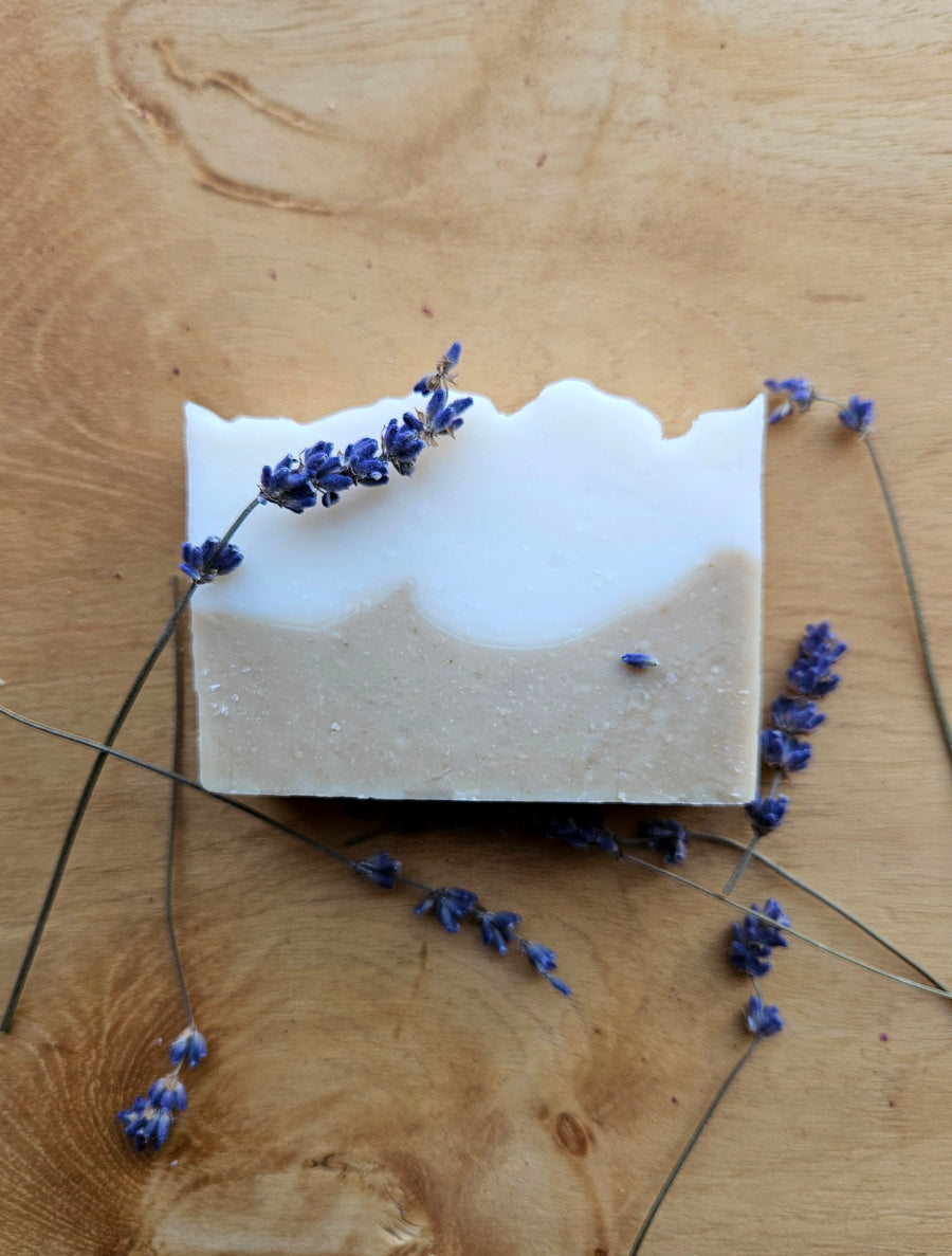 Cold Process Lard Soap: Lavender