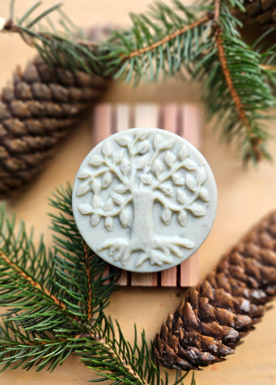 Cold Process Lard Soap: Evergreen