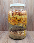 Herbal Elixir: Fire Oxymel (Fire Cider)